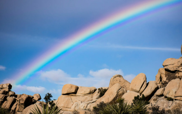 A rainbow shines bright over a rock pile in Joshua Tree National Park.