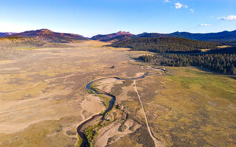 Monache Meadow - Inyo National Forest